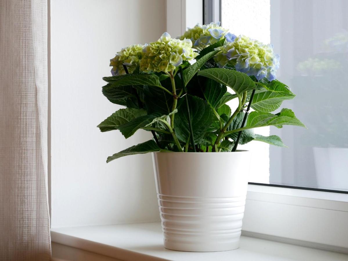 Ferienhaus Dorfleben โฟกท์สบวร์ก ภายนอก รูปภาพ